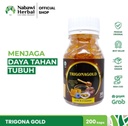 HABBATUSSAUDA TRIGONA GOLD 200 KAPSUL