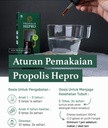 PROPOLIS HEPRO 10ML