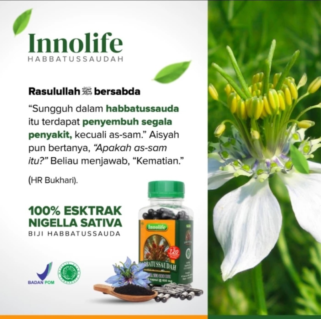 INNOLIFE - Habbatussauda Serbuk Jinten Hitam Habatussauda 210 Kapsul